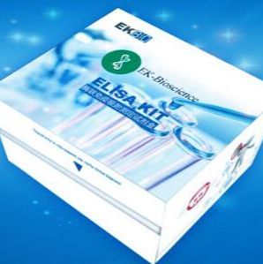 Human TCF20 (Transcription Factor 20) ELISA Kit
