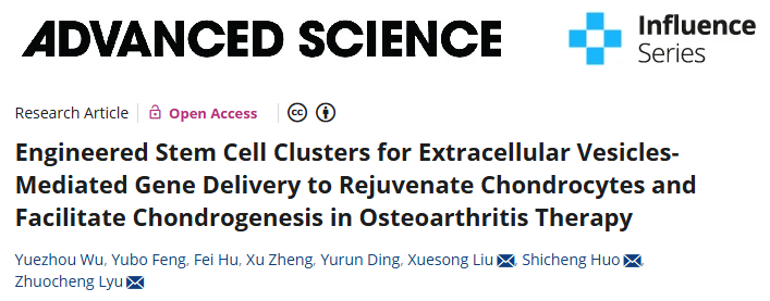 外泌体在骨关节炎治疗领域搞“大事情”！上交大科研团发力，miRNA 递送+多组学分析，14+高分文章轻松拿下！