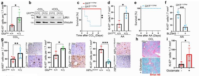 Nature-20250326-Data1