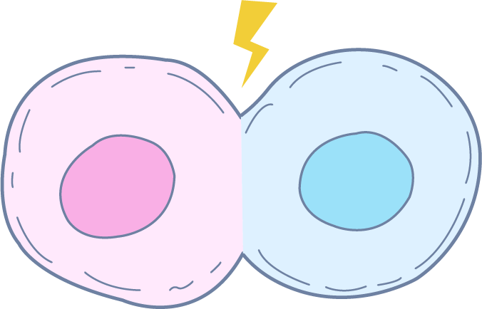 Cell Fusion for Hybridoma Development