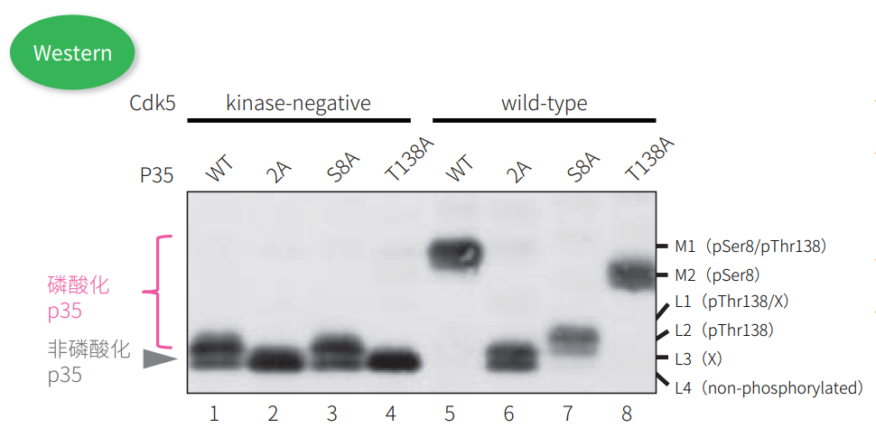 0317173840792907.png 0317173840792907.png