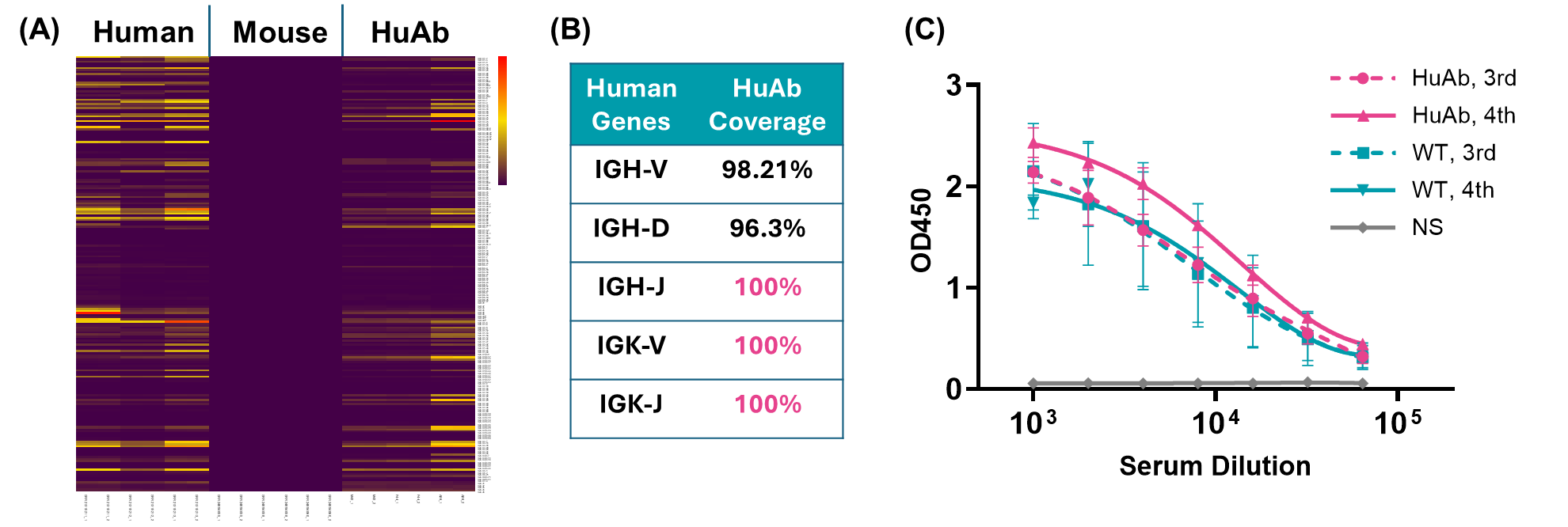 HuAb humanized mouse serves as a revolutionary platform for in vivo human antibody discovery