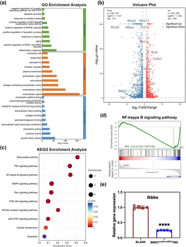 生物信息学分析