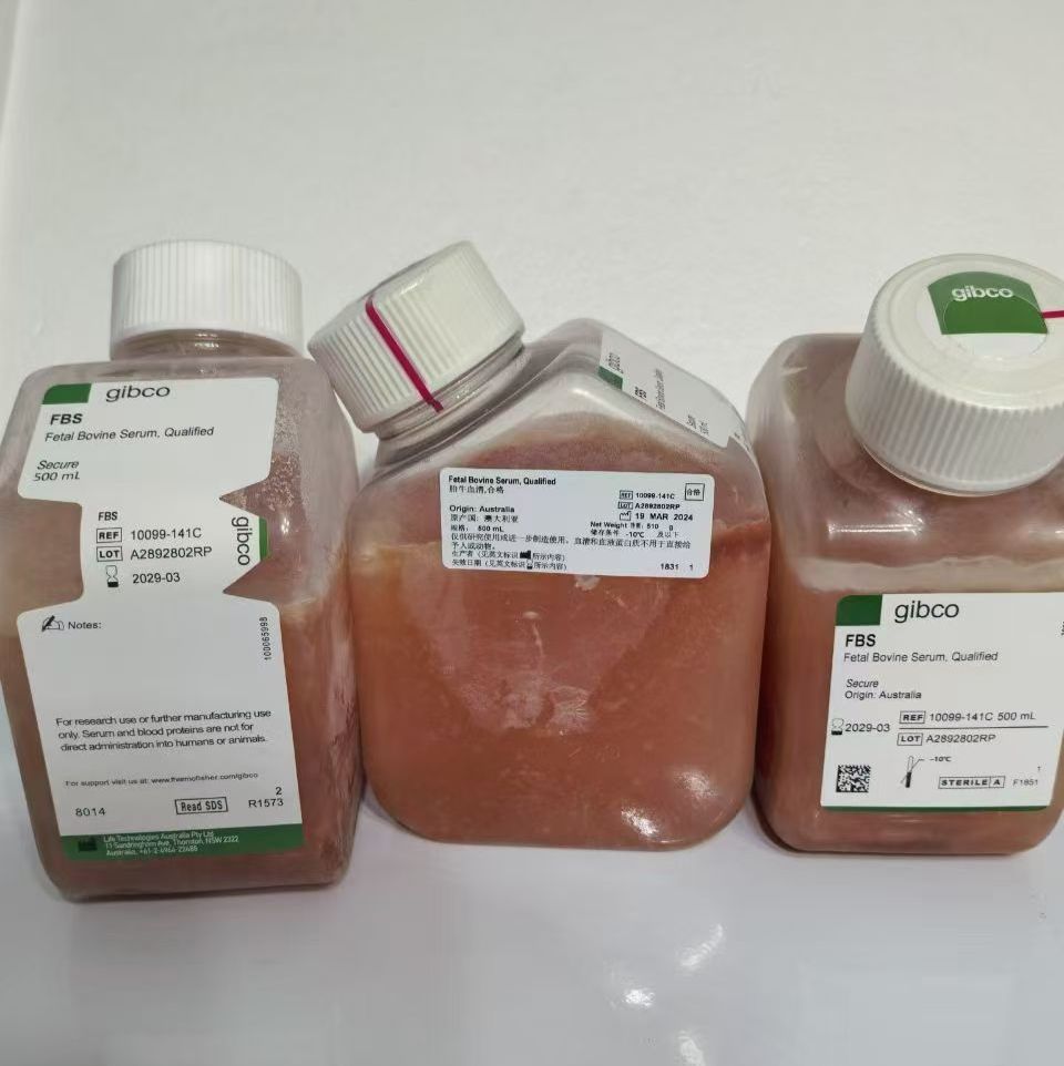 澳洲胎牛血清