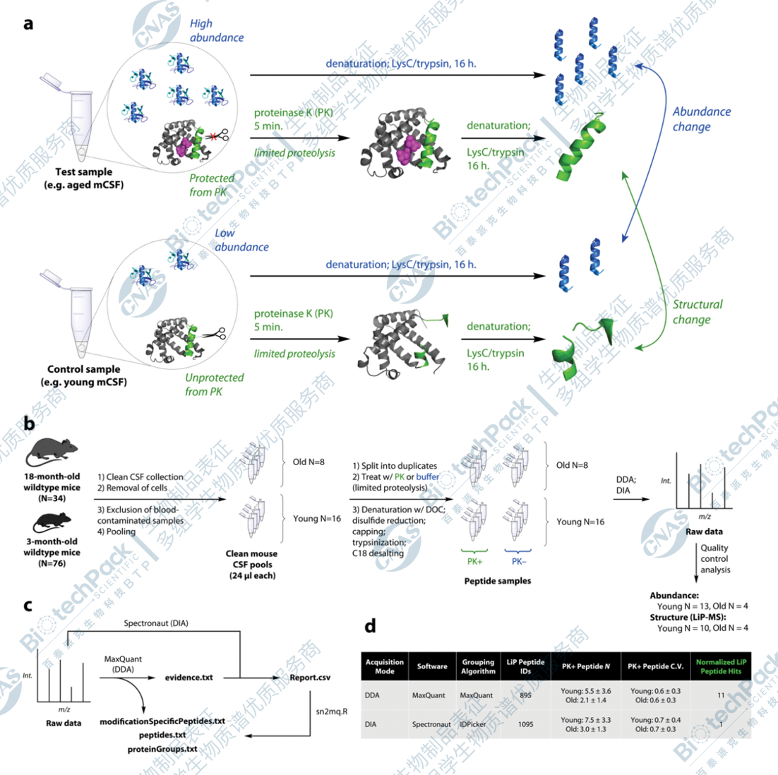 小分子药物靶点鉴定及验证