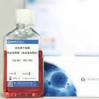 间充质干细胞完全培养基（有血清有酚红）