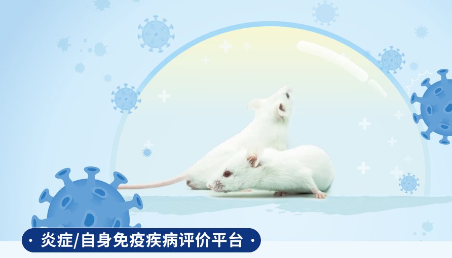 南模生物将携多个自免相关动物模型新研究成果亮相AAI 2025