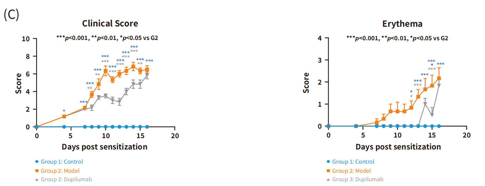 南模生物将携多个自免相关动物模型新研究成果亮相AAI 2025