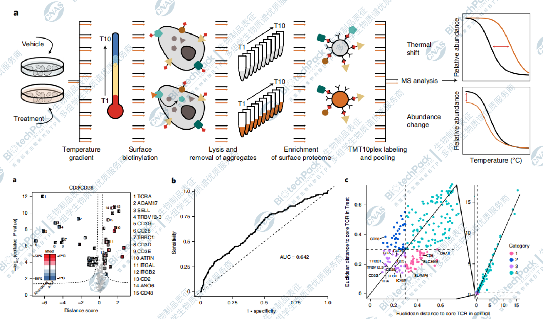 小分子药物靶点鉴定及验证