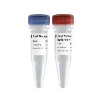 Cas9 Nuclease（用于体外DNA切割和基因组改造Cas9）（EN301）