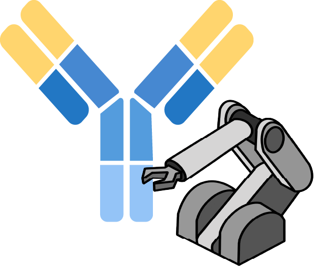 Antibody Optimization and Engineering