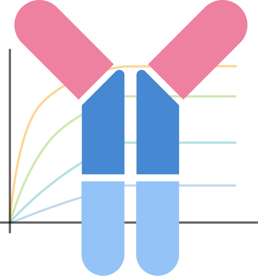 Antibody characterization and functional validation assays available