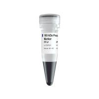 180 kDa Prestained Protein Marker（MP102）