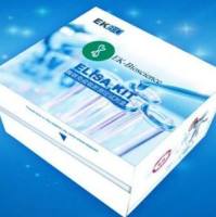 Mouse RUNX2 (Runt Related Transcription Factor 2) ELISA Kit