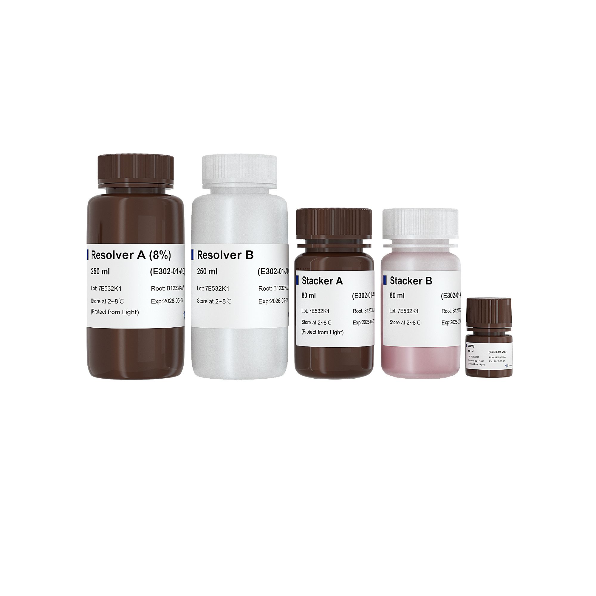 蛋白胶预混液试剂盒 One-Step PAGE Gel Fast Preparation Kit(E301/E302/E303/E304/E305)