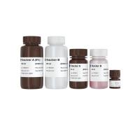 蛋白胶预混液试剂盒 One-Step PAGE Gel Fast Preparation Kit（E301/E302/E303/E304/E305）
