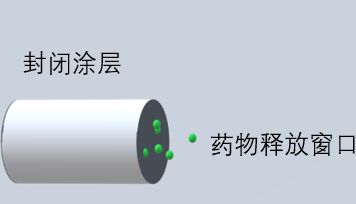 肝纤维化性别差异的关键机制