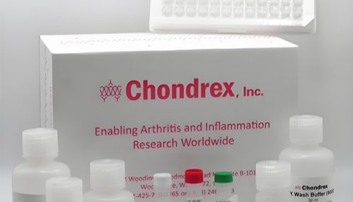 Chondrex 屋尘螨 HDM(Der p1)ELISA试剂盒总代理