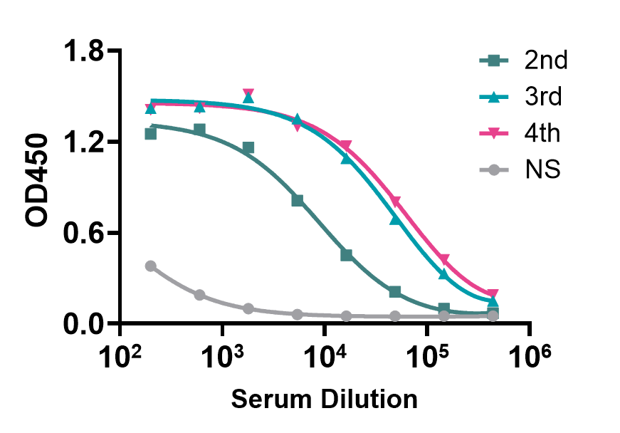 The alpaca shows strong immune responses against AAV immunization