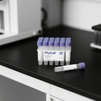 赤藓红单克隆抗体；赤藓红抗体；Erythrosin（ERY）抗体