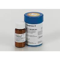 11088866001默克罗氏胶原酶D 500mg Merck Roche Collagenase D