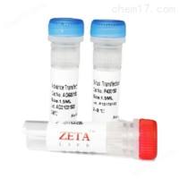 in vivo DNA RNA Advanced转染试剂