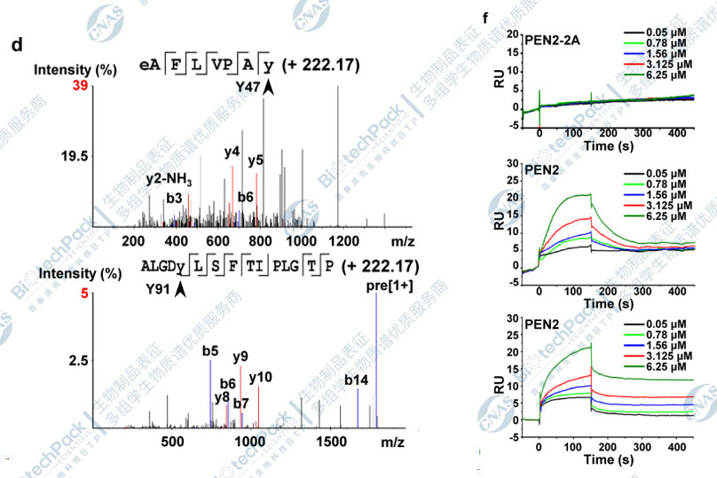 小分子药物靶点鉴定及验证