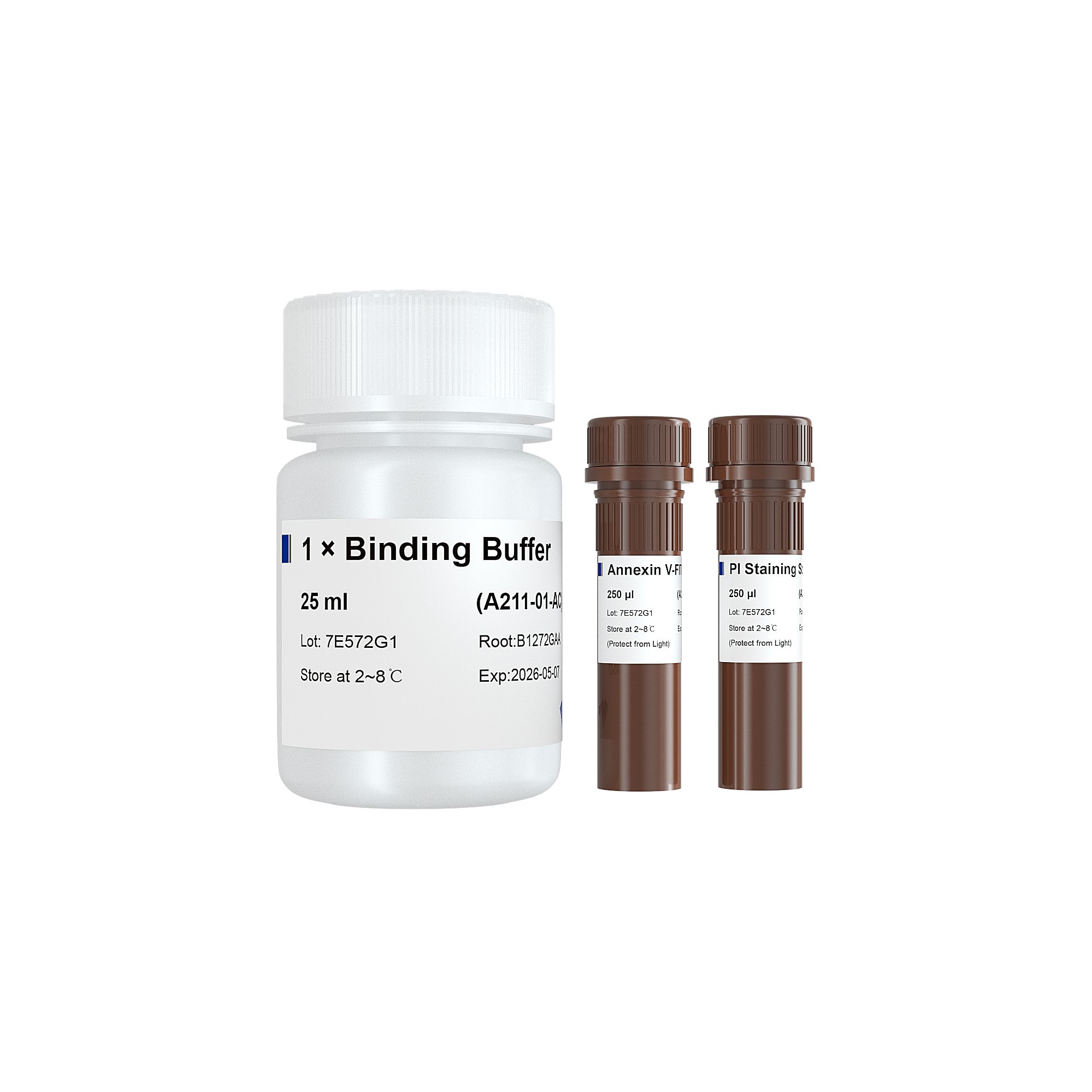 Annexin V-FITC/PI Apoptosis Detection Kit（早期凋亡检测试剂盒）(A211)