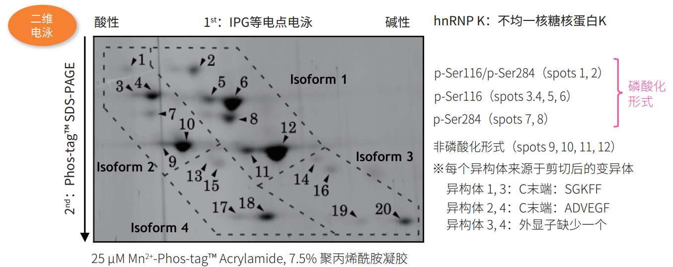 0317173838665230.png 0317173838665230.png