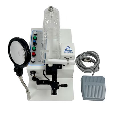 静脉可视小鼠尾注固定器