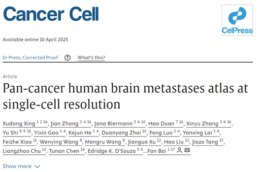 Cancer Cell|北京大学白凡教授团队利用Tissue Cytometry多组学技术解析并定义泛脑转移瘤生物学标志物