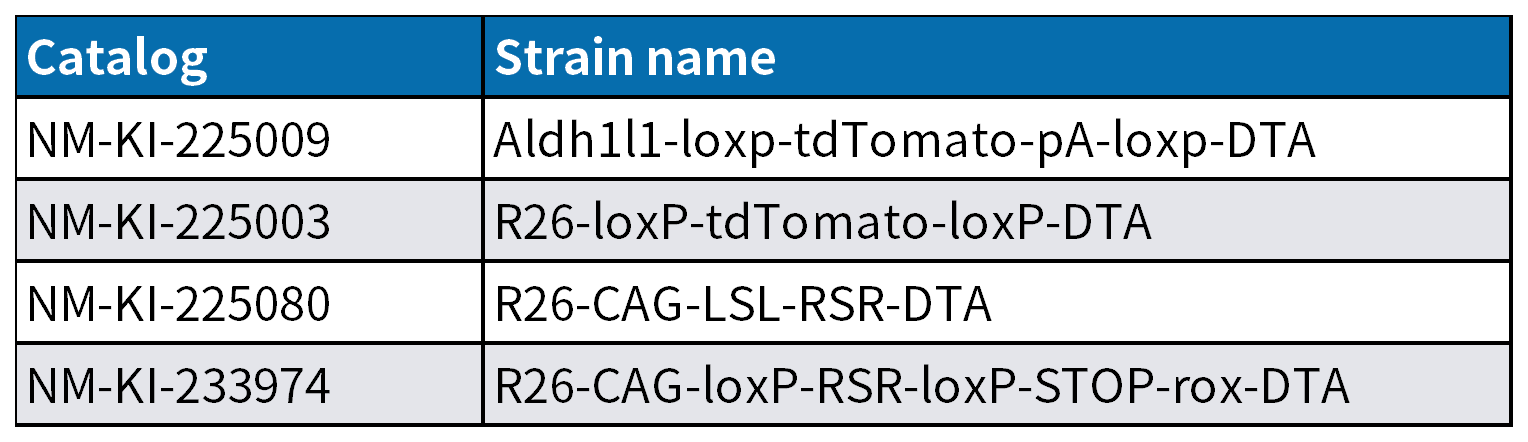 无需DT！DTA小鼠精准驱动细胞条件性剔除