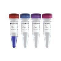 MycoBlue Mycoplasma Detector(一台水浴锅，就可以快速完成支原体的日常检测)(D101)