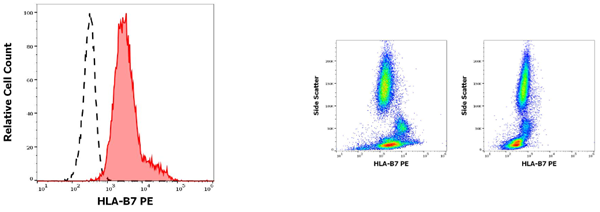 抗HLA-B7 PE荧光标记抗体：促销盛宴，惊喜不断！