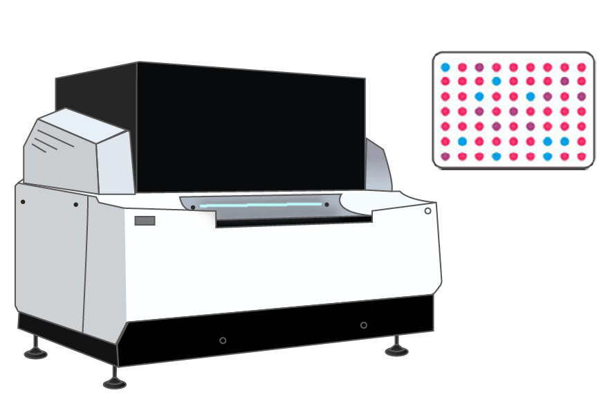 Antibody Characterization