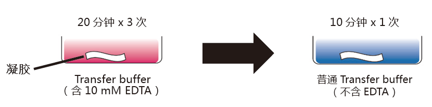 0114543153748050.png blob.png