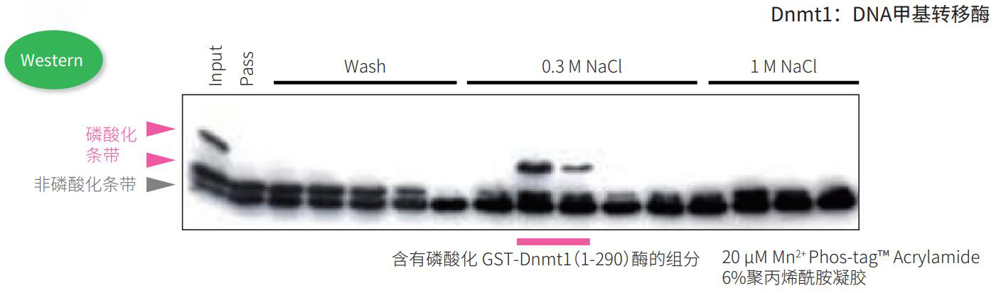 0317173843223999.jpg 0317173843223999.jpg