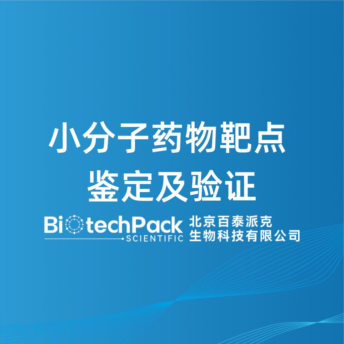 小分子药物靶点鉴定及验证