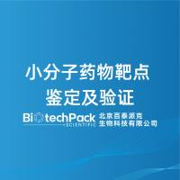 小分子药物靶点鉴定及验证