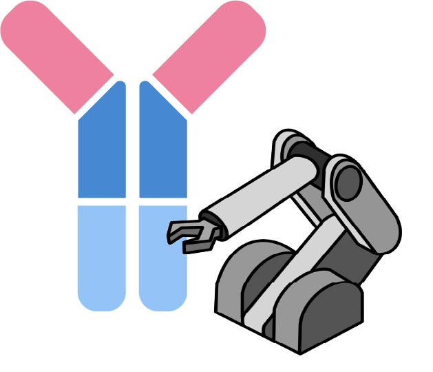 VHH Antibody Optimization and Engineering