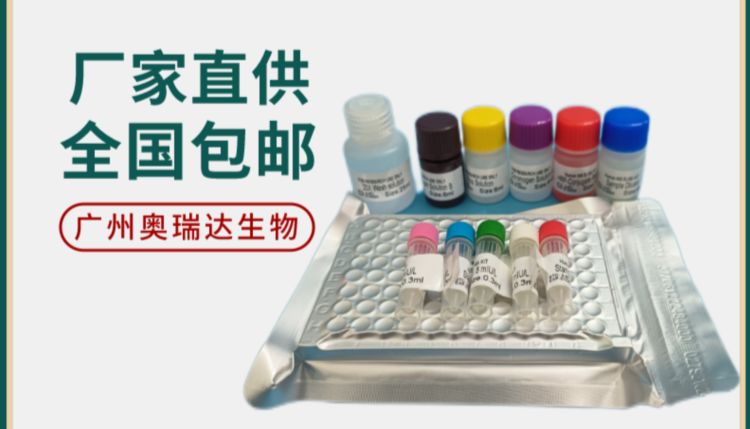 2025年“五一”劳动节放假通知