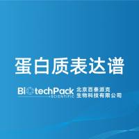 蛋白质表达谱-百泰派克生物科技