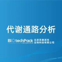 代谢通路分析-百泰派克生物科技