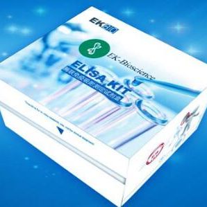 Guinea pig STAT2 (Signal Transducer and Activator of Transcription 2) ELISA Kit