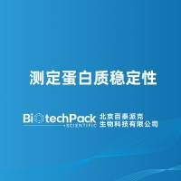 测定蛋白质稳定性