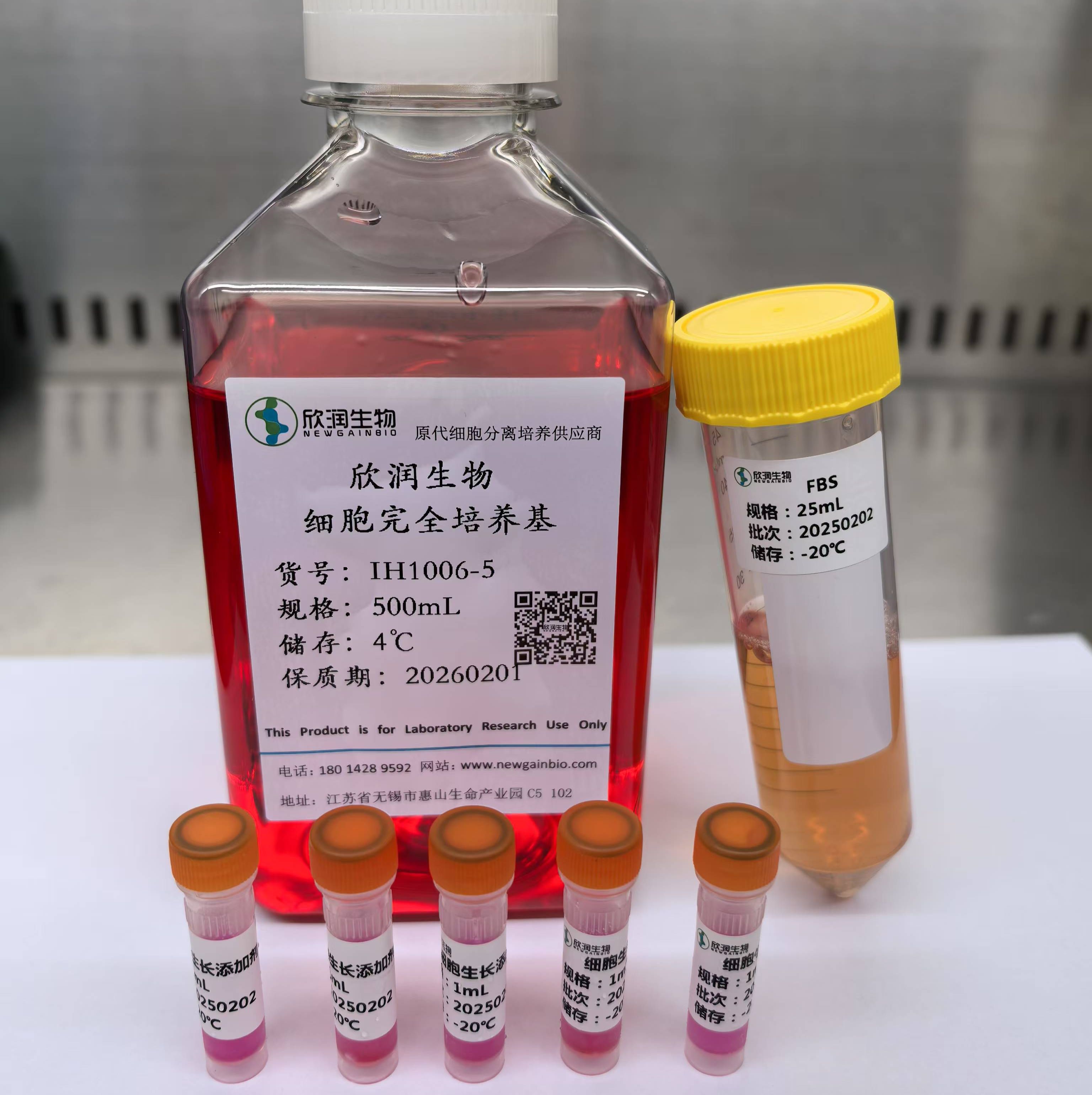 永生化鸡子宫平滑肌细胞、鸡子宫平滑肌细胞系