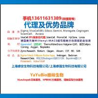 Zymo Research货号D2001酵母质粒提取试剂盒(异丙醇沉淀法)13611631389上海睿安生物