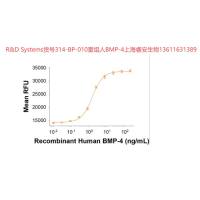 R&D Systems货号314-BP-010重组人BMP-4上海睿安生物13611631389