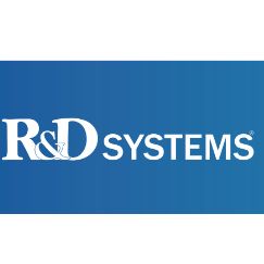 R&D Systems货号293-VE-010重组人VEGF 165上海睿安生物13611631389