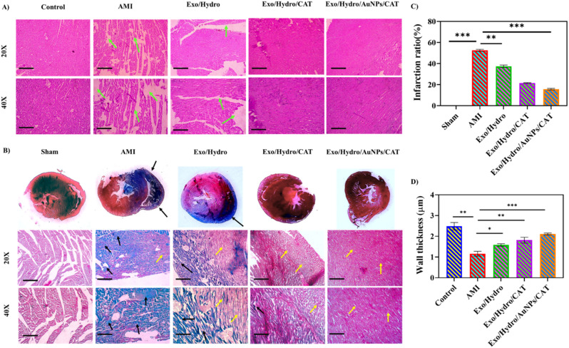 外泌体技术服务 外泌体技术服务